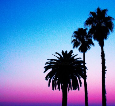 数字艺术 标题为“Cali Palms 2024” 由Troy Wilson-Ripsom, 原创艺术品, 操纵摄影