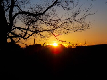 Dawning of a New Year in Alameda Photography titled "Dawning of a New Ye…" by Troy Wilson-Ripsom, Original Artwork, Digital Photography
