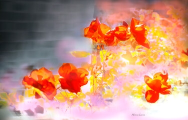 Flores de Huelva Arts numériques intitulée "Flores de Huelva" par Alfonso García, Œuvre d'art originale, Photographie numérique