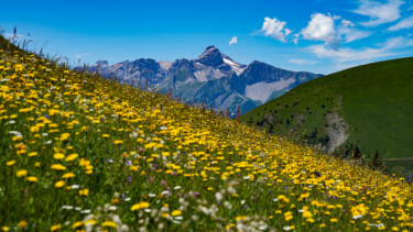 Photography titled "Belle montagne" by Rosalina Vaz, Original Artwork, Digital Photography
