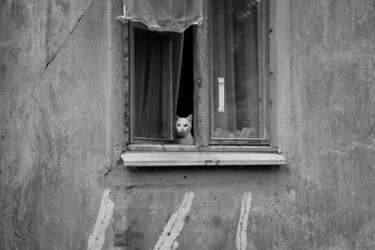 Photographie intitulée "KOULEMINA Natalia P…" par Natalia Koulemina, Œuvre d'art originale, Photographie numérique