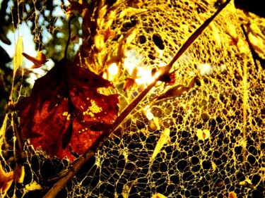 Fotografía titulada "an imperfect world…" por Sandra Maciantowicz, Obra de arte original, Fotografía no manipulada
