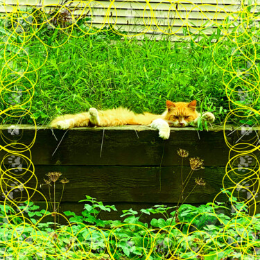 Photography titled "Nature is ready to…" by Dida Andr & Tevah.Art Studio, Original Artwork, Digital Photography