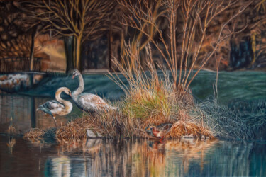 绘画 标题为“Swan Couple on a Is…” 由Tibor Horvath, 原创艺术品, 油