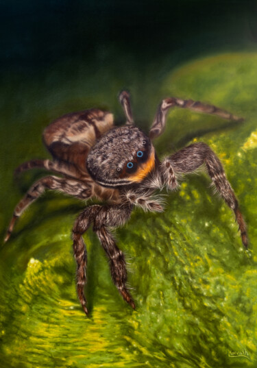 Portrait of a Spring Spider Painting titled "Portrait of a Sprin…" by Tibor Horvath, Original Artwork, Oil