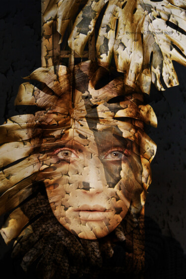 Arts numériques intitulée "Mental de pierre" par Dominique Taïbouni, Œuvre d'art originale, Peinture numérique