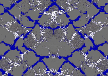 Woven 2a3c 摄影 标题为“Woven 2a3c” 由Ken Lerner, 原创艺术品, 数码摄影