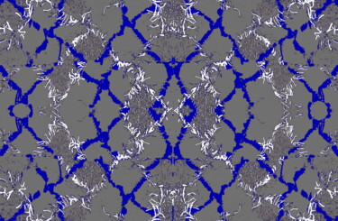 摄影 标题为“Woven 2a3d” 由Ken Lerner, 原创艺术品, 数码摄影