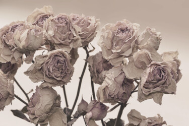 摄影 标题为“Flowerissimo_12788” 由Michael Vdovin, 原创艺术品, 数码摄影