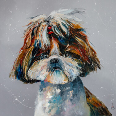 Shih Tzu