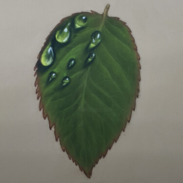 Awakening of the Leaf Peinture intitulée "Awakening of the Le…" par Vitalii Astapenko, Œuvre d'art originale, Pastel