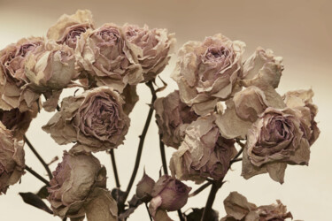 摄影 标题为“Flowerissimo_12786” 由Michael Vdovin, 原创艺术品, 数码摄影