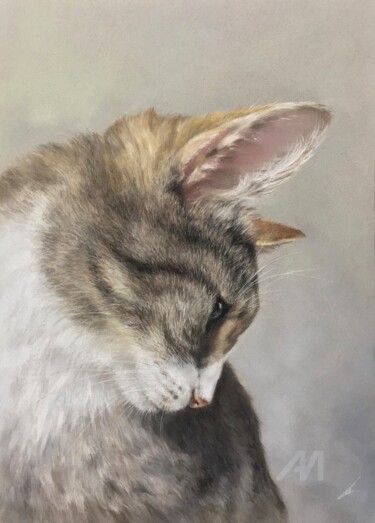 图画 标题为“Cat portrait” 由Irene_art, 原创艺术品, 粉彩
