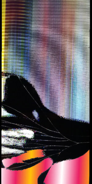 Photography titled "Kerrdizish" by Milao Chewithllipta, Original Artwork, Digital Photography