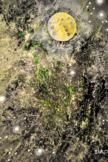 제목이 "Cosmos 54 (petit fo…"인 미술작품 Robert Daout로, 원작, 아크릴 나무 들것 프레임에 장착됨