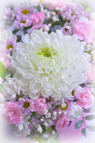 摄影 标题为“Flowerissimo_12961” 由Michael Vdovin, 原创艺术品, 数码摄影