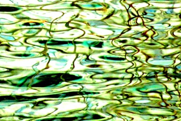 Central Park 4 - Pond Water 14b Photography titled "Central Park 4 - Po…" by Ken Lerner, Original Artwork, Digital Photography