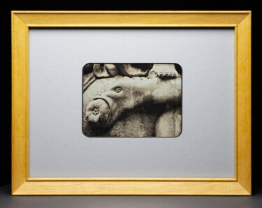 Fragment der Statue, Schwäbisch Hall - Daguerreotype 摄影 标题为“Fragment der Statue…” 由Valerius Geng, 原创艺术品, 电影摄影 安装在纸板上