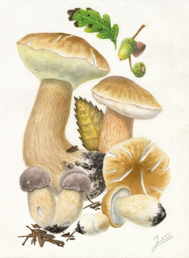 Картина под названием "BOLETUS RETICULATUS" - Dmitrii Kastalskii, Подлинное произведение искусства, Акварель