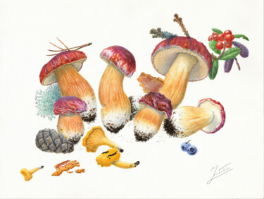Картина под названием "BOLETUS AND CHANTER…" - Dmitrii Kastalskii, Подлинное произведение искусства, Акварель