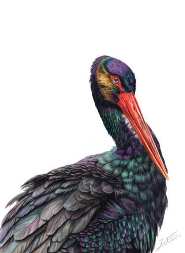 Картина под названием "BLACK STORK" - Dmitrii Kastalskii, Подлинное произведение искусства, Акварель