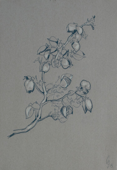 图画 标题为“Branch” 由Sergey Sovkov, 原创艺术品, 孔戴
