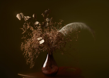 Fotografia intitolato "Sérénade de Saladel…" da Camille Lafon, Opera d'arte originale, Fotografia digitale