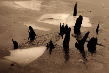 Photography titled "Ice Wood And Water" by Bavosi Photoart, Original Artwork, Digital Photography