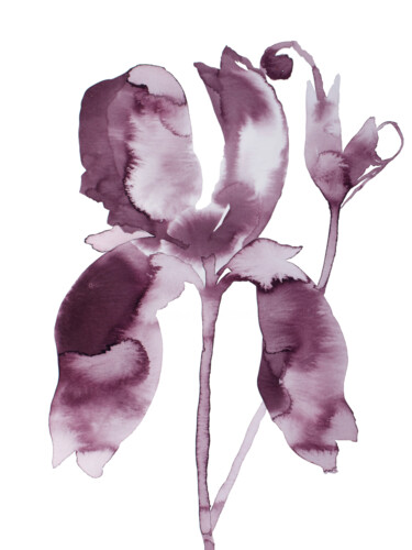 Iris No. 199 "Iris No. 199" başlıklı Tablo Elizabeth Becker tarafından, Orijinal sanat, Mürekkep