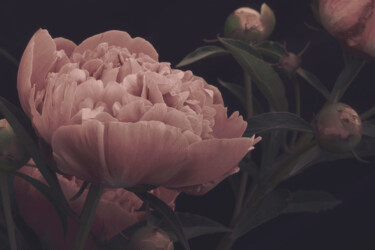 Photography titled "Flowerissimo_10120" by Michael Vdovin, Original Artwork, Digital Photography