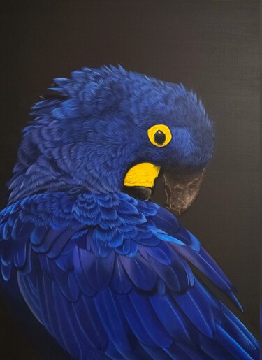 Peinture intitulée "Hyacinth macaw" par Maslova Art Gallery, Œuvre d'art originale, Acrylique