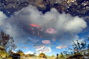 「Big fish in a small…」というタイトルの写真撮影 Manuel Backerによって, オリジナルのアートワーク, デジタル
