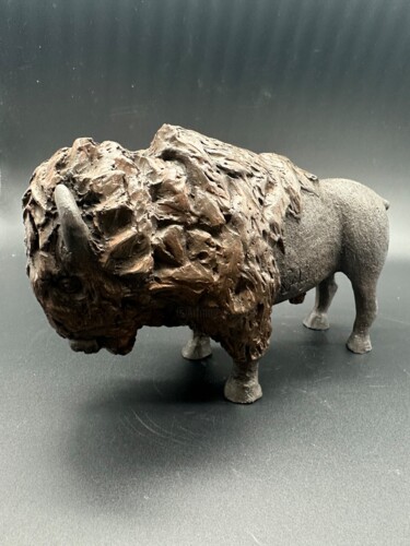 雕塑 标题为“Bison sauvage” 由Sange, 原创艺术品, 兵马俑