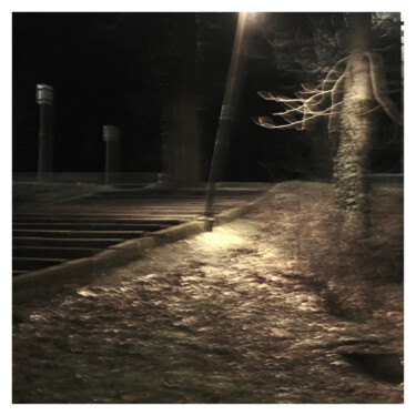 摄影 标题为“Park II (Dream of 1…” 由Zheka Khalétsky, 原创艺术品, 非操纵摄影