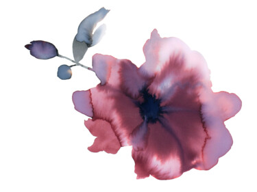 绘画 标题为“Floral No. 28” 由Elizabeth Becker, 原创艺术品, 水彩