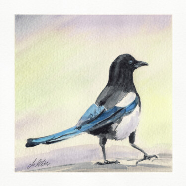 绘画 标题为“Polish birds - Pica…” 由Maciej Kłosowski, 原创艺术品, 水彩