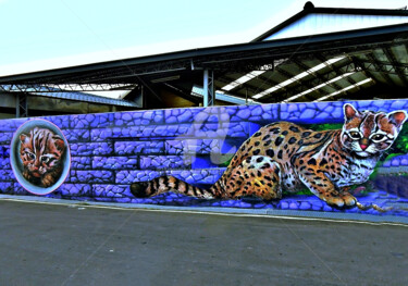 Photography titled "The Wall Art of Wid…" by Clement Tsang, Original Artwork, Digital Photography