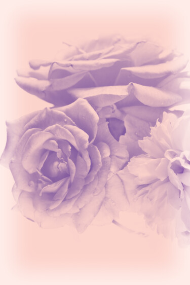 摄影 标题为“Flowerissimo_17332” 由Michael Vdovin, 原创艺术品, 数码摄影