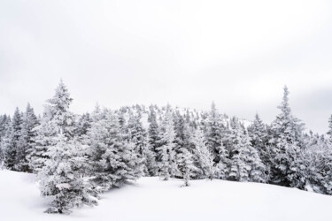Photography titled "Le sommet du Mont-H…" by Brigitte Marcotte, Original Artwork, Digital Photography