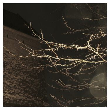 Photography titled "Tree and Castle (Dr…" by Zheka Khalétsky, Original Artwork, Non Manipulated Photography
