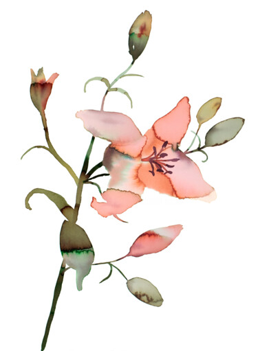 绘画 标题为“Lily No. 17” 由Elizabeth Becker, 原创艺术品, 水彩