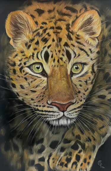 Disegno intitolato "Léopard" da Francette Guittard, Opera d'arte originale, Pastello Montato su Cartone