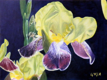 Breath of sunlight: Iris Schilderij getiteld "Breath of sunlight:…" door Livia Doina Stanciu, Origineel Kunstwerk, Olie Gemonteerd op Karton
