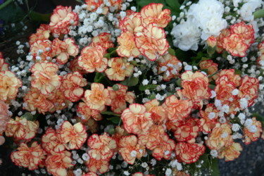 Fotografie getiteld "Flowers" door Lavinia, Origineel Kunstwerk, Niet gemanipuleerde fotografie