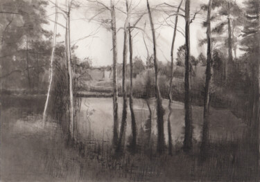 Desenho intitulada "Заросший пруд" por Igor Masin, Obras de arte originais, Tinta