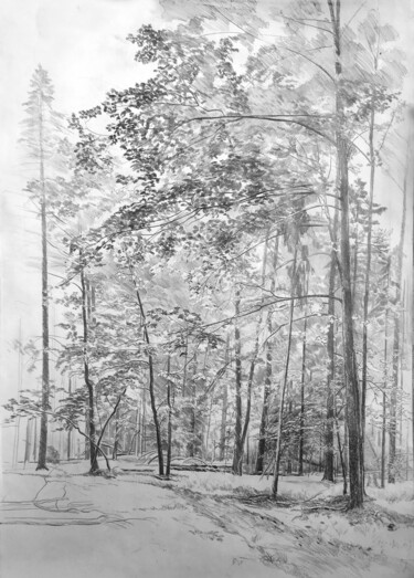 Desenho intitulada "Дождливый день 2" por Igor Masin, Obras de arte originais, Lápis