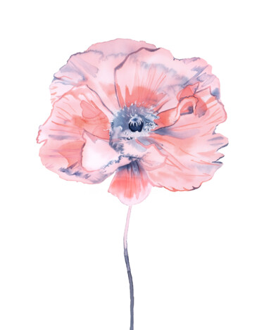 Poppy No. 7 绘画 标题为“Poppy No. 7” 由Elizabeth Becker, 原创艺术品, 水彩