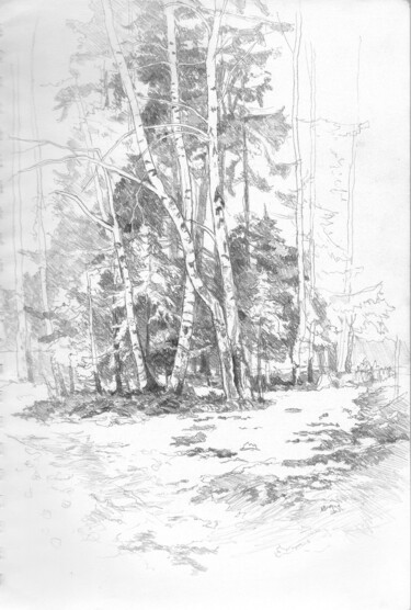 Disegno intitolato "Березки" da Igor Masin, Opera d'arte originale, Matita