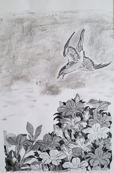 图画 标题为“Colibri du Japon” 由Stefan, 原创艺术品, 铅笔