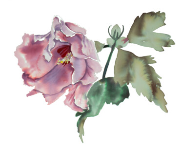 Hibiscus No. 8 Schilderij getiteld "Hibiscus No. 8" door Elizabeth Becker, Origineel Kunstwerk, Aquarel